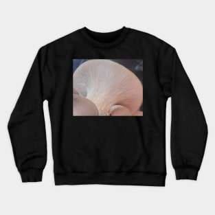 Oyster Mushroom Gills3 Crewneck Sweatshirt